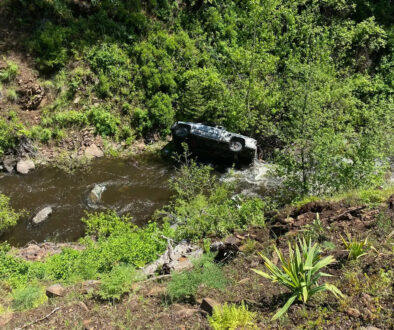 O cão correu 6,5 km para buscar ajuda após dono capotar caminhonete em um desfiladeiro