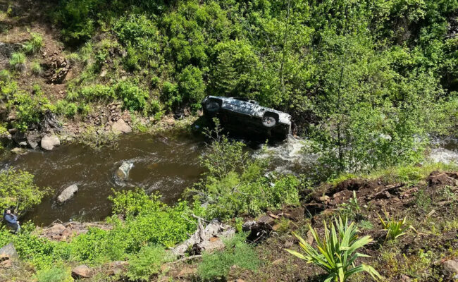 O cão correu 6,5 km para buscar ajuda após dono capotar caminhonete em um desfiladeiro