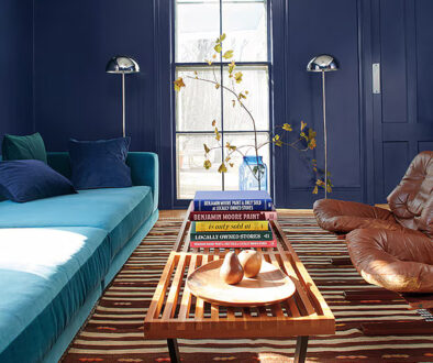 benjaminmoore-living-room-refresh-navy-blue-paint-living-room-walls-door