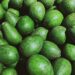 close-up-photo-of-green-fruits-R_buhpl8wSo