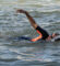 paris-mayor-swimming-seine